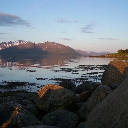 Northern Lights - Andoya/vesteralen 山林小屋 *