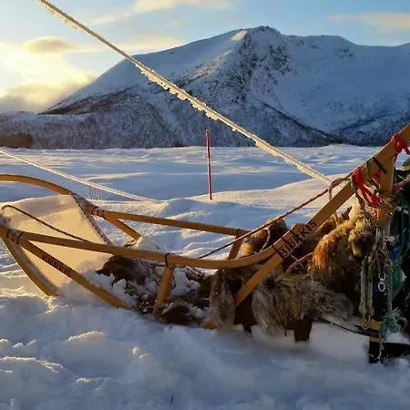 Northern Lights - Andoya/vesteralen * Risoyhamn