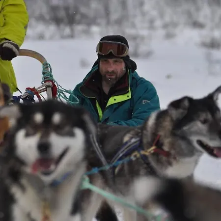 Northern Lights - Andoya/vesteralen 山林小屋 Risoyhamn