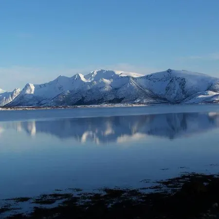 Northern Lights - Andoya/vesteralen Risoyhamn