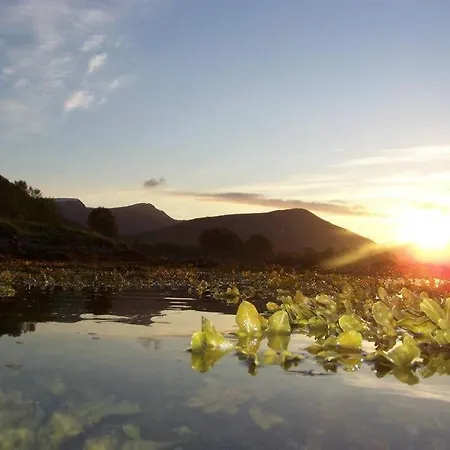 Northern Lights - Andoya/vesteralen 山林小屋