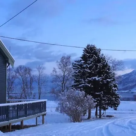 Northern Lights - Andoya/vesteralen 山林小屋