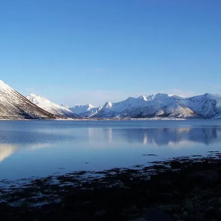 Northern Lights - Andoya/vesteralen *