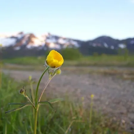 Northern Lights - Andoya/vesteralen *