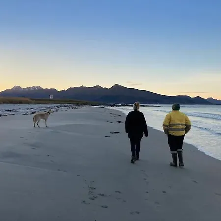 Northern Lights - Andoya/vesteralen Risoyhamn