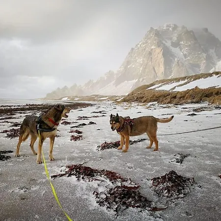 山林小屋 Northern Lights - Andoya/vesteralen *