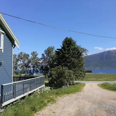 Northern Lights - Andoya/vesteralen