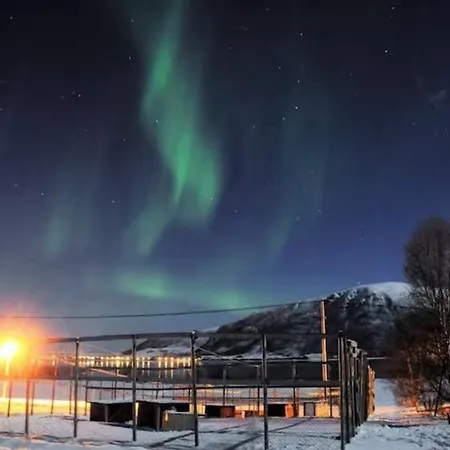 Northern Lights - Andoya/vesteralen Risoyhamn