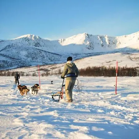 Northern Lights - Andoya/vesteralen אכסניה *