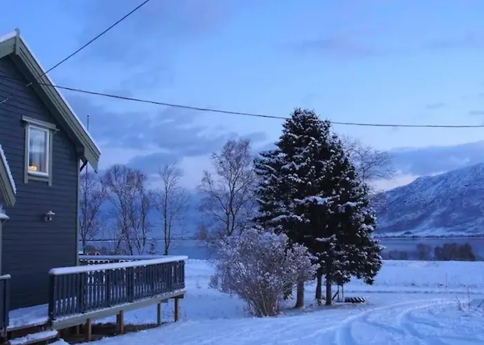 Northern Lights - Andoya/vesteralen بيت خشبي