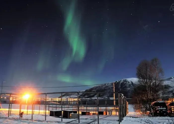 Northern Lights - Andoya/vesteralen Risoyhamn