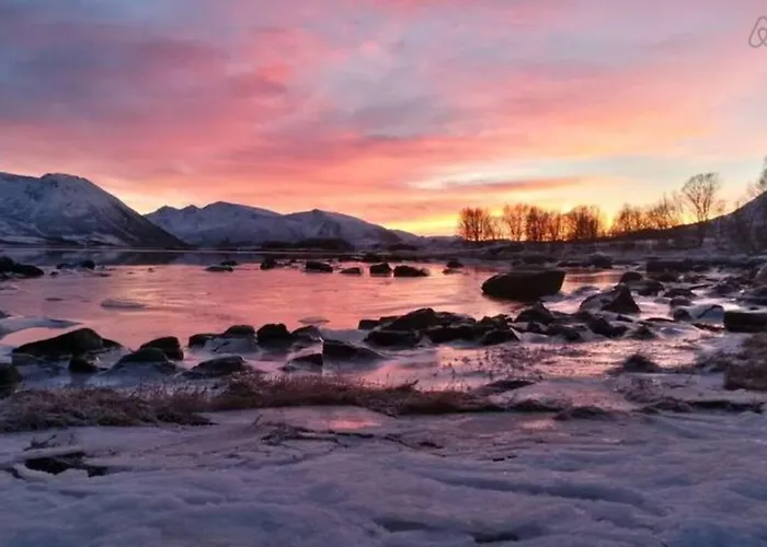 Northern Lights - Andoya/vesteralen Risoyhamn